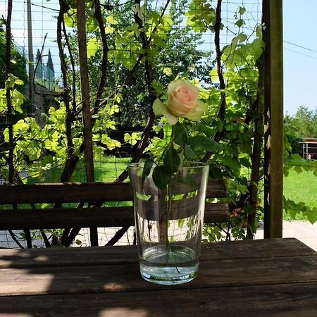 In Collina B&B Trento Exterior foto